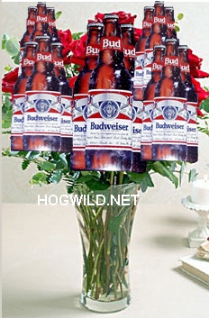budweiser beer