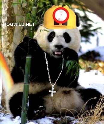 giant.panda-rainbow-fart