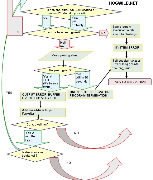 sex flowchart