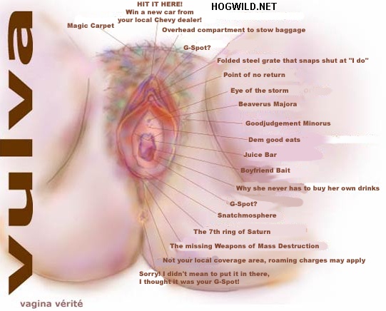 The Vagina Explained to Guys by HogWild Paul Dean the vagina