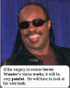 stevie.wonder.jpg (22370 bytes)
