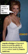 angelica.bridges-baywatch.jpg (34033 bytes)