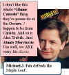 michael.j.fox.jpg (29652 bytes)