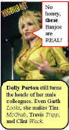 dolly.parton.jpg (26886 bytes)