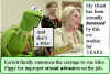 kermitthefrog.jpg (30272 bytes)