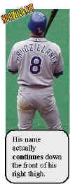 baseball-grudzielanek.jpg (19037 bytes)