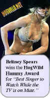 britney.spears-strip-mtv.jpg (22732 bytes)