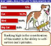 poll-animal.jpg (27859 bytes)