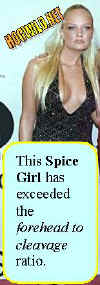 spice.girls-cleavage-to-forehead-ratio.jpg (16208 bytes)
