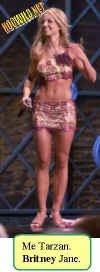 britney.spears-skimpy.jpg (19321 bytes)