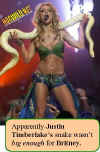 britney.spears-snake.jpg (30615 bytes)