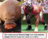 warren.sapp-stance.jpg (46802 bytes)