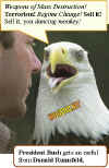 bald.eagle-mouth-open.jpg (36202 bytes)