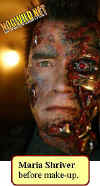 arnold.schwarzenegger-terminator-3.jpg (20939 bytes)