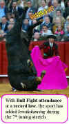 bull-breakdances.jpg (35336 bytes)