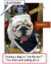 dog-bulldog-king.jpg (32412 bytes)