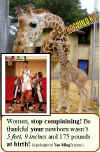yao-ming-giraffe-baby.jpg (43568 bytes)