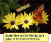butterflies-are-gay.jpg (25506 bytes)