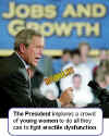 bush-jobs.jpg (39221 bytes)
