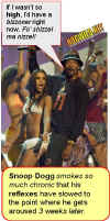 snoop.jpg (54465 bytes)
