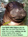 hippo-baby.jpg (55203 bytes)