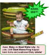 baby-water-lily.jpg (50193 bytes)