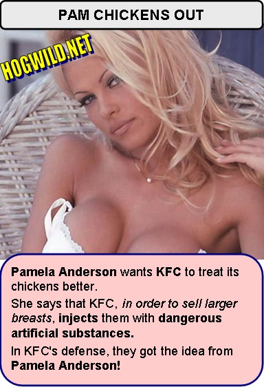 pamela anderson