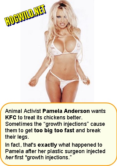 pamela anderson