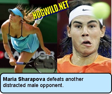 http://www.hogwild.net/images/Balloons/2006.01.22/maria.sharapova.jpg