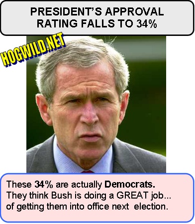 george.w.bush-approval.jpg