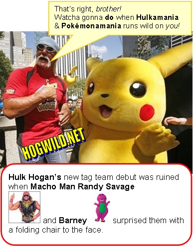 hulk hogan