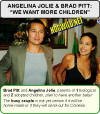 brad pitt angelina jolie