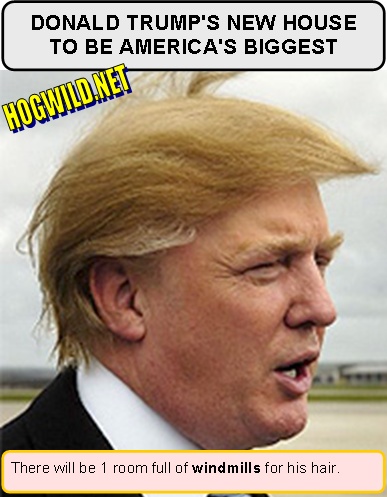 donald trump hairstyle. Donald Trump