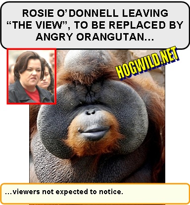 rosie odonnell