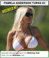 pamela anderson