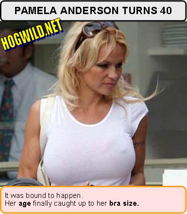 pamela anderson