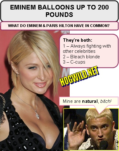 fat jokes funny. fat eminem paris hilton