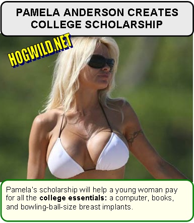 pamela anderson breasts