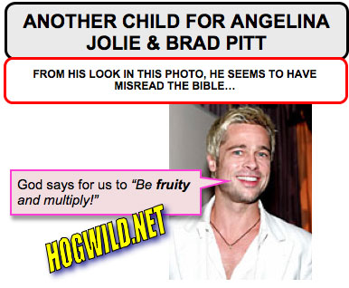 angelina jolie pregnant brad pitt