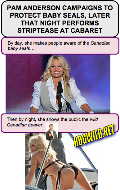 pamela anderson strips