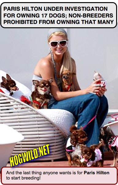 paris hilton