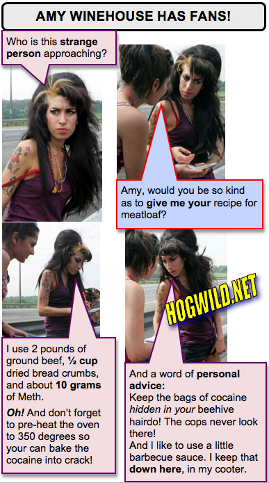 funny myspace pictures: amy winehouse