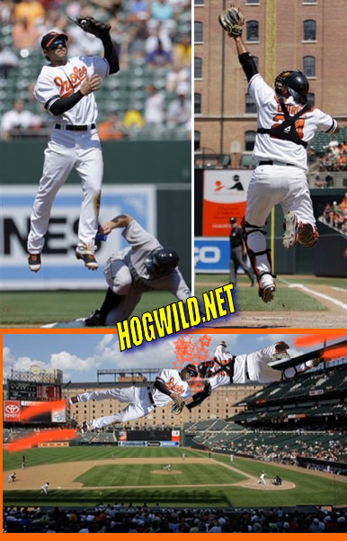 funny baseball pictures