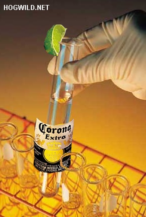 Funny Myspace Pictures. Corona Beer jokes.