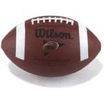 NFL football