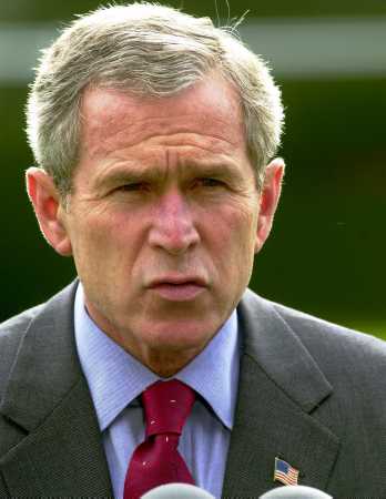 george w bush funny quotes. george w bush monkey