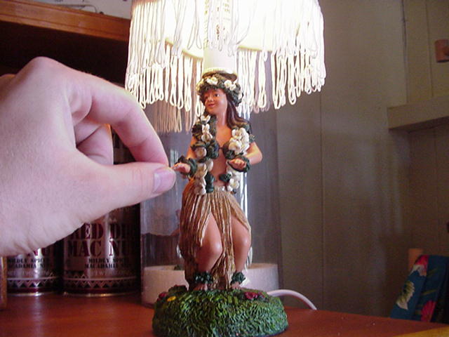 Sadly, this is the closest HogWild got to any hot Hawaiian bims.