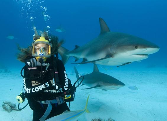 Jenn Brown Pics sharks