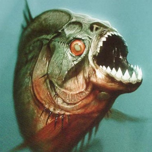 piranha