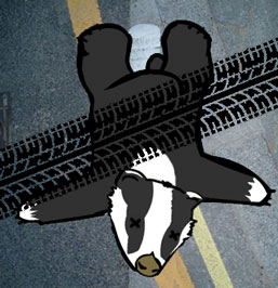 roadkill